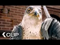 Download Lagu The Falcon’s PSYCHOLOGICAL Game - STUART LITTLE 2 Clip (2002) Michael J. Fox