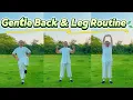 Download Lagu Latihan Aman untuk SENIOR 60+ untuk Meredakan Sakit Punggung dan Memperkuat Kaki!