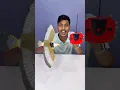Download Lagu Eta Amar New Remote Control Bird