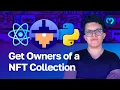 Get The Owners of any NFT Collection Moralis Documentation Web3 NFT API with Python React