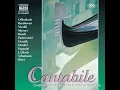 Cantabile in D Major, Op. 17, MS 109 (arr. for violin and guitar)