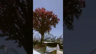 عمرو دياب قرب مني شويه شويه 