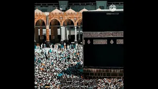 تلاوة من سورة سبأ للقارئ محمد هشام القيسي 