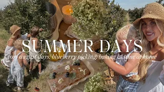 COSY AUGUST DAYS berry picking baking blueberry lemon loaf cosy crafts cooking at home