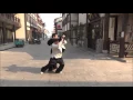Lagu Bajiquan (An Jian Qiu) - Xiao Jia Form \u0026 Application