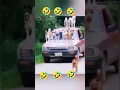 Download Lagu patli kamariya mori  #patli #kamariya #mori #funny #dance #dog #viral #viralvideo #trending