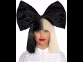 Officially Licensed Sia Black Blonde Costume Wig