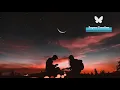 Download Lagu Dil Ko Karaar Aaya Slowed + Reverb    Sayan Creation