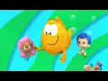 nick jr swiper screenbug animation 2024