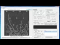 Dseg instruction - Segmentation of filamentous and polymer structures using Matlab