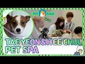 Download Lagu SNSD Tae yeon \u0026 Hee chul PET SPA 🐶🛀🏻