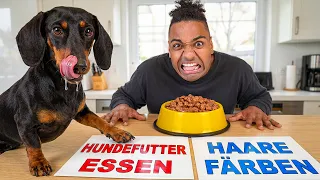 Hund bestimmt 24h unser Leben 🐶 (ft. Theresa)
