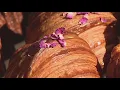 LA County bakery voted best in California