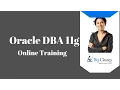 Oracle DBA 11g Training Tutorial - Oracle DBA Training s