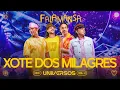 Download Lagu Falamansa - Xote dos Milagres (DVD Universos)