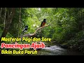 masteran murai batu Paling Dicari! Cocok Buat pancingan murai batu Harian