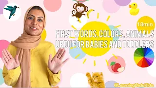 first words colors animals in urdu for babies and toddlers learning urdu kids