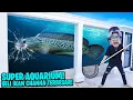 Download Lagu PERMINTAAN KALIAN! BELI IKAN CHANNA SUPER BESAR MASUKIN KE AQUARIUM, DIA NGAMOK KACA HAMPIR PECAH!!!