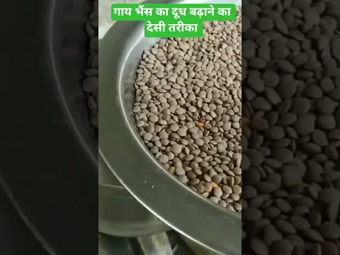 गाय भैंस का दूध बढ़ाने का देसी तरीका doodh badhane ka desi tarika #dairyfarming #egyankrishidarshan