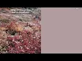크루셜스타 (CRUCiAL STAR) - End My Loneliness (가사)
