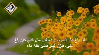 احاديث جاهزة للنشر بدون حقوق الرفق بالحيوان 