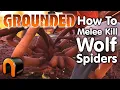 GROUNDED How to Kill A Wolf Spider