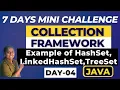 Master the Collection Framework in 7 days - Example of HashSet LinkedHashSet TreeSet