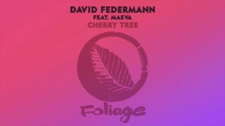 david federmann feat maeva cherry tree reel people remix 