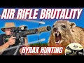 Lagu AIR RIFLE BRUTALITY: Hyrax Hunting with the FX Panthera (PCP Power)