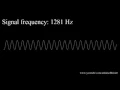 Beware Hurts Animals Ears 2021 Frequency s Low to High Hearing Test dog whistle
