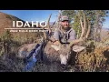 IDAHO - 2022 Mule Deer Hunt