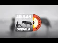 Download Lagu akulah srigala - nineball (speed up)