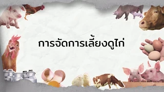 วิชา  การเลี้ยงสัตว์เบื้องต้น  [kmitl007] บทที่ 5 [3/3]