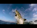 Dark Times Collaboration - Turning Point Mix Contest 2021