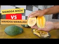 MANGGA MADU VS MANGGA MANALAGI, KALIAN TIM YANG MANA?