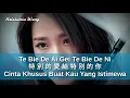 Lagu Te Bie De Ai Gei Te Bie De Ni - 特別的愛給特別的你 - 雷婷 Lei Ting