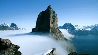 شفاء و رجاء   ملح الأرض   باتريشيا شحادة دندنها