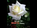 Download Lagu DJ EMAS HANTARAN || BERAHIR SUDAH IMPIAN CINTA - STORY WA