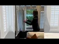 Can You Open Windows with Plantation Shutters Here s the Truth