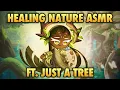 Lagu 🎙️Millennial Tree Cookie Nature ASMR in CookieRun: Kingdom 🌲