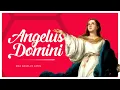 Download Lagu ANGELUS DOMINI | DOA ANGELUS BAHASA LATIN