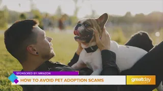 GDL How to Avoid Pet Adoption Scams