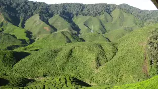 كونى النجمه رائعة مصطفى سيد احمد 