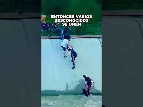 Cadena humana para salvar a un perro ❤️‍🩹