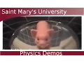 Download Lagu Mirror Mirage - The Pig!