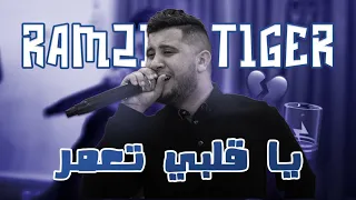 Cheb Ramzi Tiger Ya Galbi T3amer يا قلبي تعمر الأغنية التي يبحث عنها الجميع 
