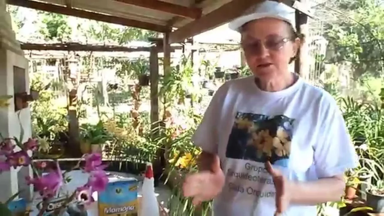 COMO FAZER ADUBO CASEIRO PARA ORQUÍDEAS