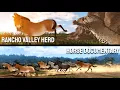 Ecos La Brea Horse Herd Documentary