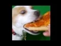 Sexy pizza