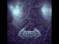 Cell of Contempt - Splattered Entrails